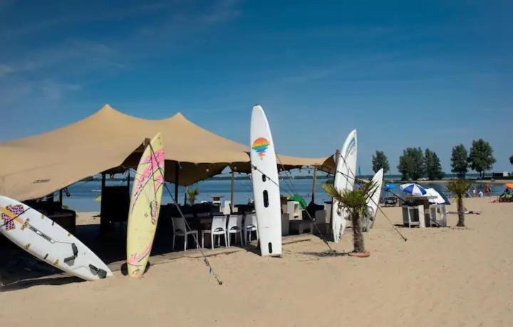 Traum Ferienhaus Mit Dachterrasse Am Veluwemeer Hulshorst Buitenkant foto
